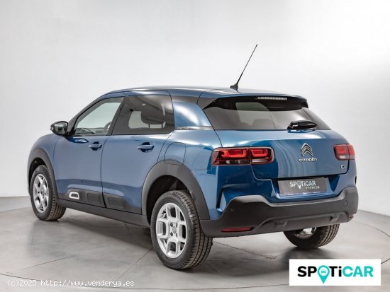 Citroën C4 Cactus PureTech 110 S&S Shine - Sabadell