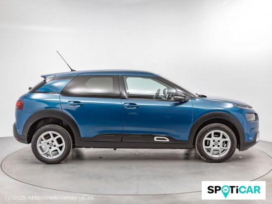 Citroën C4 Cactus PureTech 110 S&S Shine - Sabadell