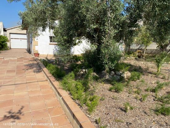 CASA DE 1 PLANTA EN BANYERES DEL PENEDES . - TARRAGONA