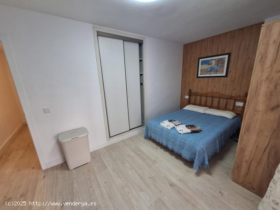 Apartamento en alquiler en Torrevieja (Alicante)