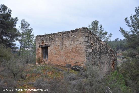  Finca con maset en Cretas - TERUEL 